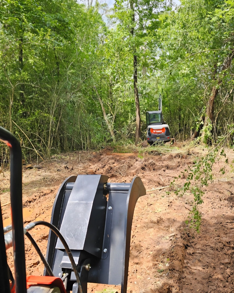Land clearing project in Gadsden, Alabama